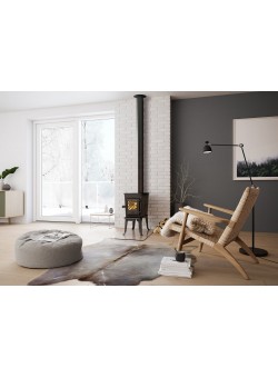 Чугунный камин Jotul F 602 ECO BP
