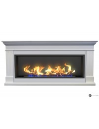 Биокамин в линейном портале Токен (ZeFire)