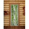 Дверь Doorwood Престиж Фотопечать для бани сатин 8 мм