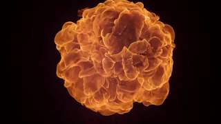 Spartherm - Premium Edition