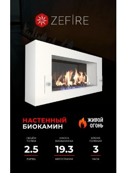 Биокамин Orion 900 белый со стемалитом и стеклом (ZeFire)