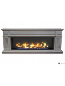 Биокамин в линейном портале Айдахо (ZeFire)