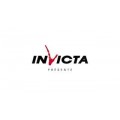 Чугунная печь-камин Invicta Brio на ноге Чугунная печь-камин Invicta Brio на ноге