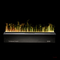 Электроочаг Schones Feuer 3D FireLine 1000 Электроочаг Schones Feuer 3D FireLine 1000
