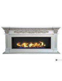 Биокамин в линейном портале Даррен (ZeFire)