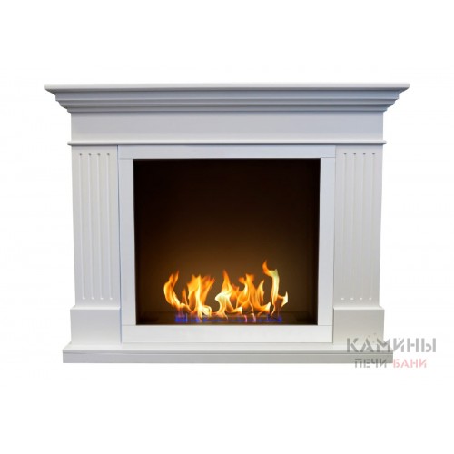 Биокамин Токен (ZeFire) Биокамин Токен (ZeFire)