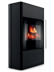 Дровяная печь-камин Ember M2L FG