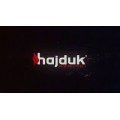 Печь-камин Hajduk ELIPSE F1 белый Печь-камин Hajduk ELIPSE F1 белый