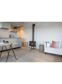 Чугунный камин Jotul F 100 ECO.2 LL BP