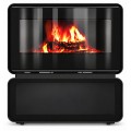Дровяная печь-камин Ember X1 FG Дровяная печь-камин Ember X1 FG