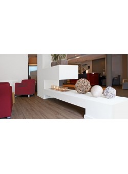 Биокамин Spartherm Quadra inside II SL (нержавеющая сталь)