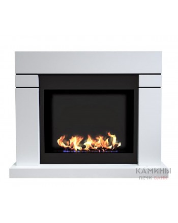 Биокамин Актон (ZeFire)