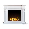 Биокамин классический Бенсон (ZeFire) Биокамин классический Бенсон (ZeFire)