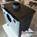 Чугунная печь KAWMET Premium S13 - 10 кВт Чугунная печь KAWMET Premium S13 - 10 кВт