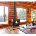 Чугунная печь камин Jotul F 500 ECO SE IVE