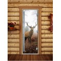 Дверь Doorwood Престиж Фотопечать для бани сатин 8 мм