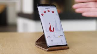 Spartherm Premium Edition