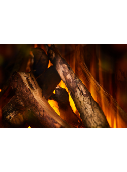 Электрокамин British Fires New Forest 870 Deluxe