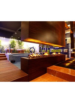 Электрокамин Dimplex Cassette L