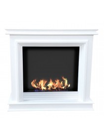 Биокамин классический Ивет (ZeFire)