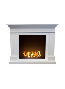 Биокамин Токен (ZeFire)