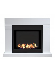 Биокамин Актон (ZeFire)