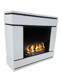 Биокамин Алистер (ZeFire)