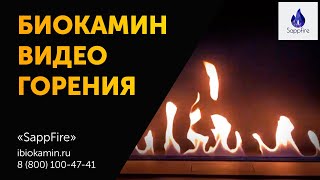Горение автоматического биокамина. SappFire
