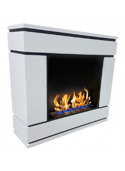 Биокамин Алистер (ZeFire)