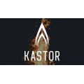 Печь для бани Kastor SAGA 30 T Печь для бани Kastor SAGA 30 T