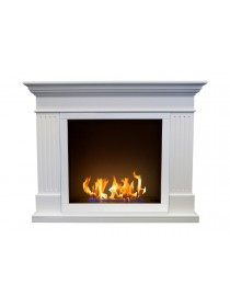 Биокамин Токен (ZeFire)