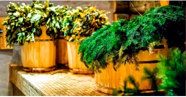 В бане веник дороже денег