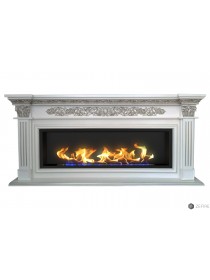 Биокамин в линейном портале Даррен (ZeFire)